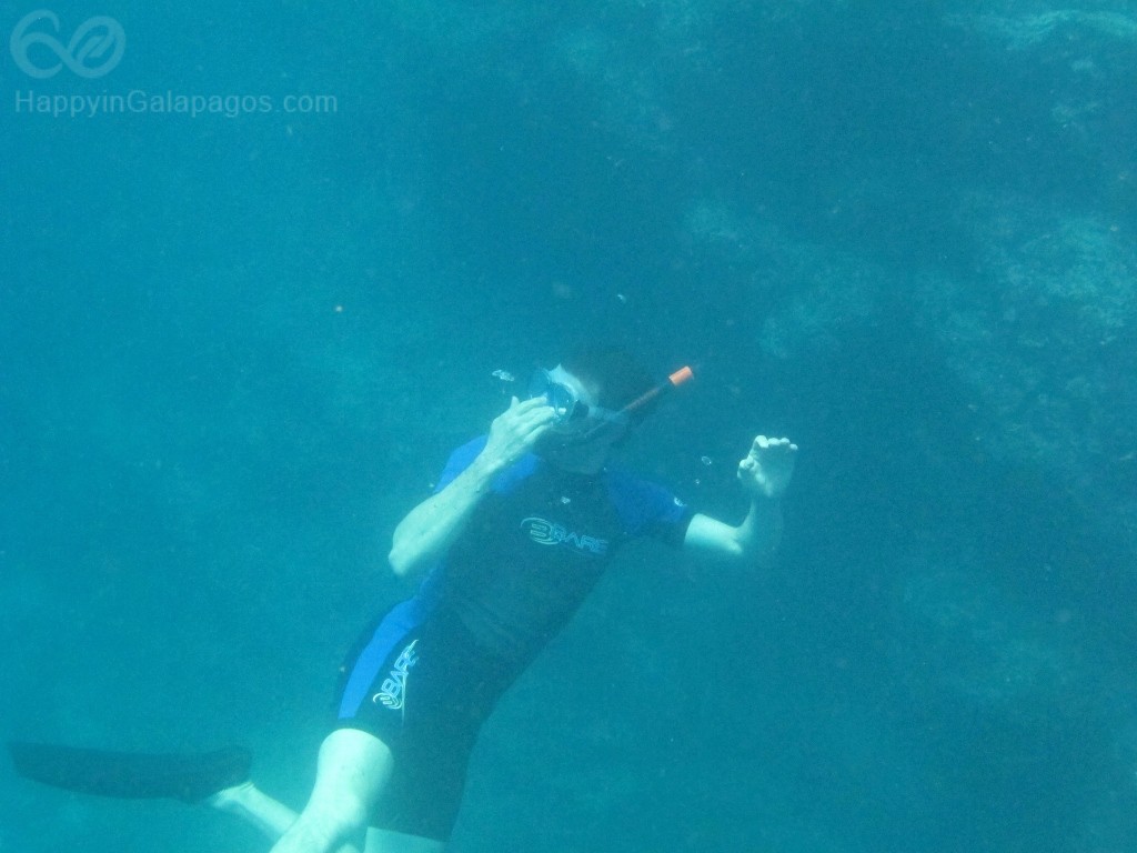 Snorkeling at Champion Islet, Galapagos