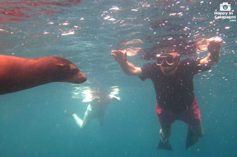 Snorkeling with a sea lion