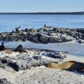 Galapagos Photo Discover this great paradise in Galapagos Islands