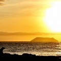 Enjoy this incredible sunset in Galapagos Islands