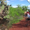 Galapagos Photo Excursions in wonderful places of Galapagos