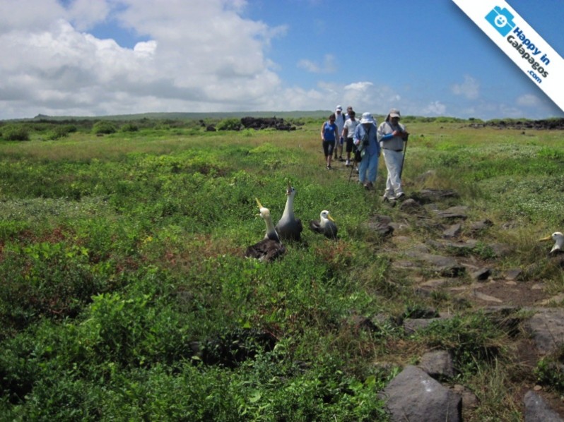 Galapagos Photo Discovering Galapagos in wonderful excursions