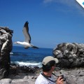 Galapagos Photo Amazing experiences near the Galapagos wildlife