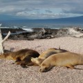 Galapagos Photo An amazing place to enjoy the beauty of Galapagos