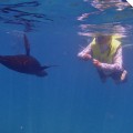 Galapagos Photo An incredible snorkeling with a playful sea lion