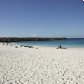Galapagos Photo Awesome beaches to enjoy in the Galapagos Islands