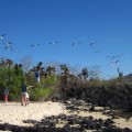 Galapagos Photo Awesome excursions in the islands of Galapagos