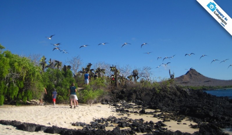 Galapagos Photo Awesome excursions in the islands of Galapagos