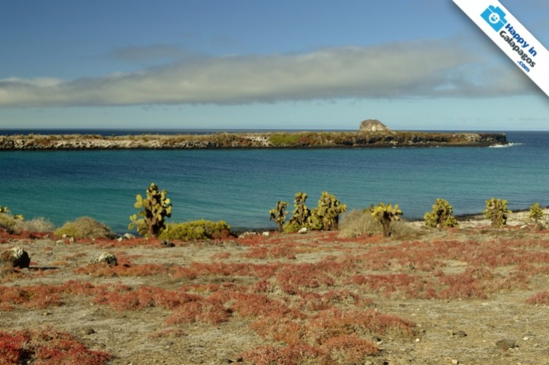 A spectacular landscape in Santa Fe Island