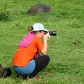 Photographing giant tortoises in Santa Cruz Island