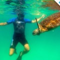 An incredible experience with a marine turtle