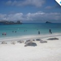 Enjoying the amazing beaches of Galapagos Islands