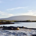 A nice landscape of Fernandina in Galapagos Islands