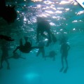 Sharing good experiences under the water
