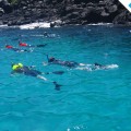 Galapagos Photo Wonderful place to enjoy the snorkeling in Galapagos