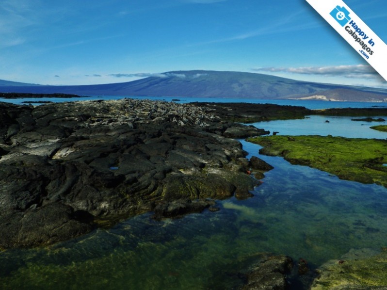 Galapagos Photo Dig into one of the most amazing paradises