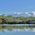 Galapagos Photo Discover the Galapagos’ lovely paradise
