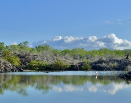 Galapagos Photo Discover the Galapagos’ lovely paradise