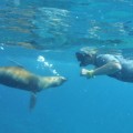 Galapagos Photo Get ready for amazing aquatic adventures