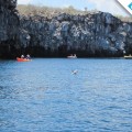 Galapagos Photo Kayaking around the Enchanted Islands
