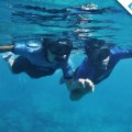 Galapagos Photo Sharing undersea experiences in Galapagos